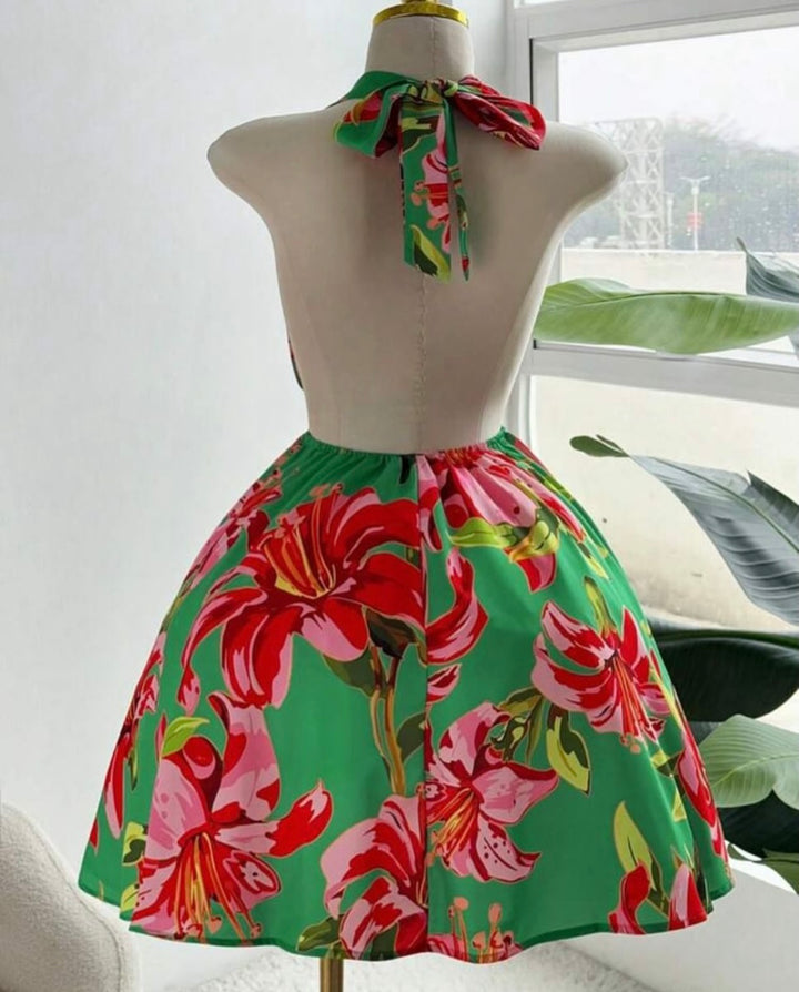 Ceyna Plus Size Halter Print Backless
Vacation Dress